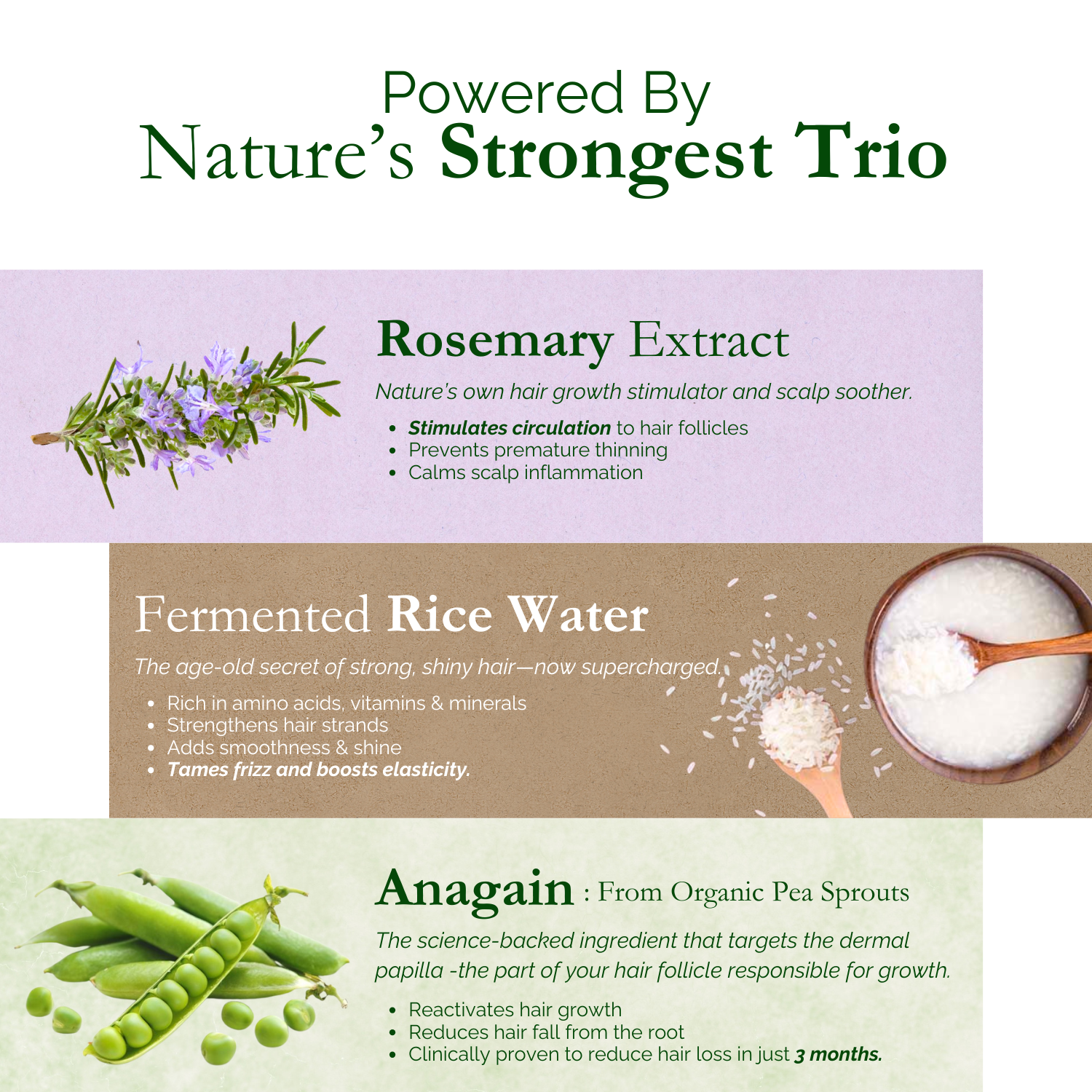 Exotic Aromas Rosemary Water Spray with Rice Water & Anagain