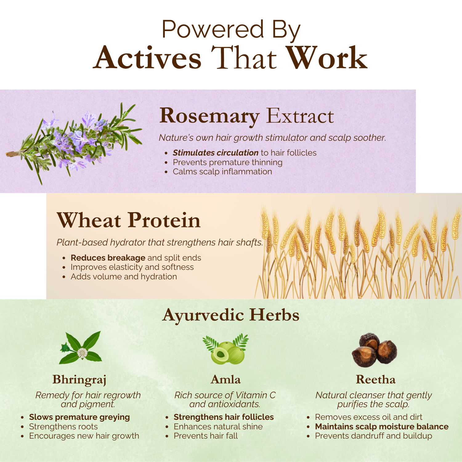 Exotic Aromas Rosemary Water Spray with Wheat Protein & Herbal Extracts
