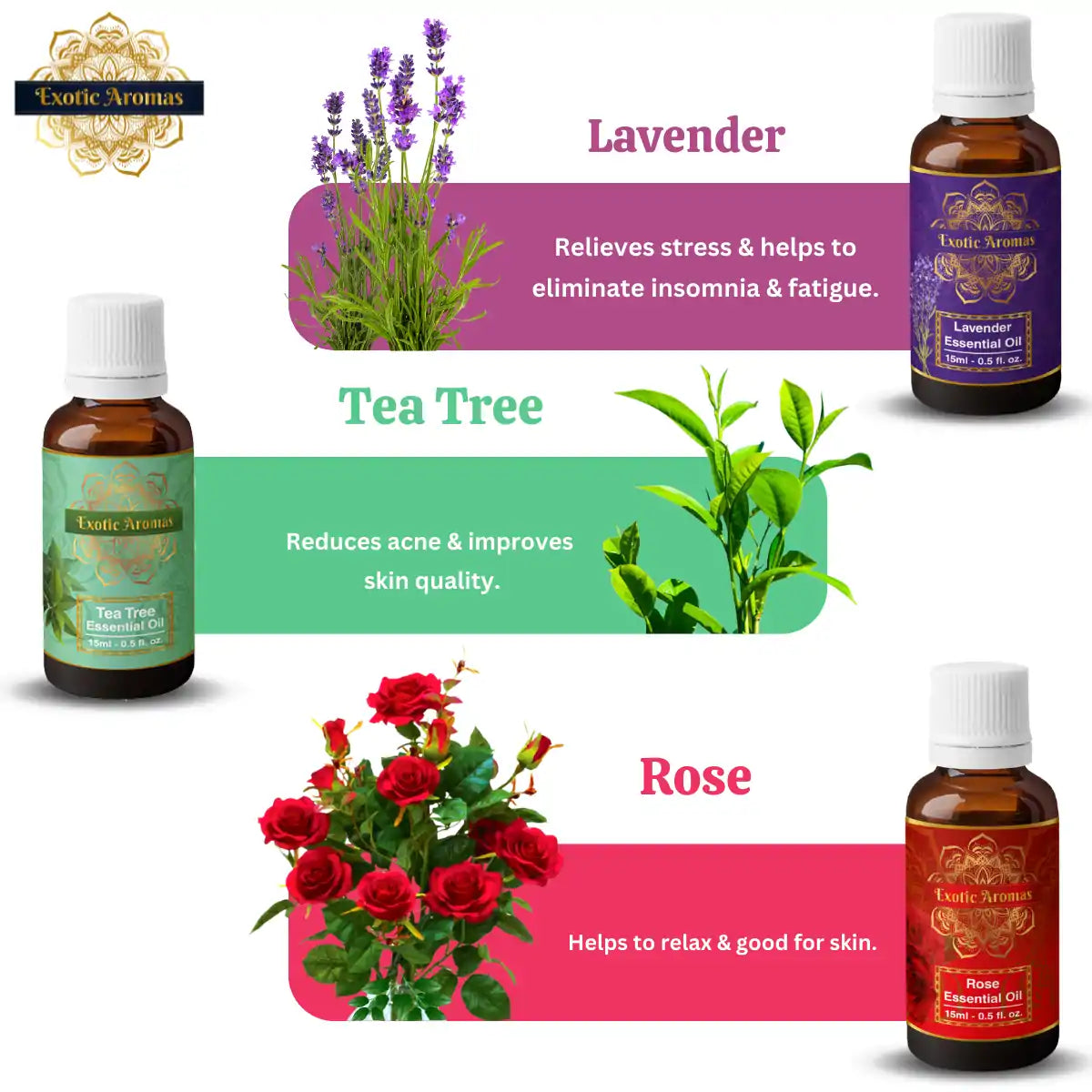 Essential Oils Pack of 5 - Lavender oil, Tea Tree Oil, Rose Oil, Jasmine Oil, Rosemary Oil
