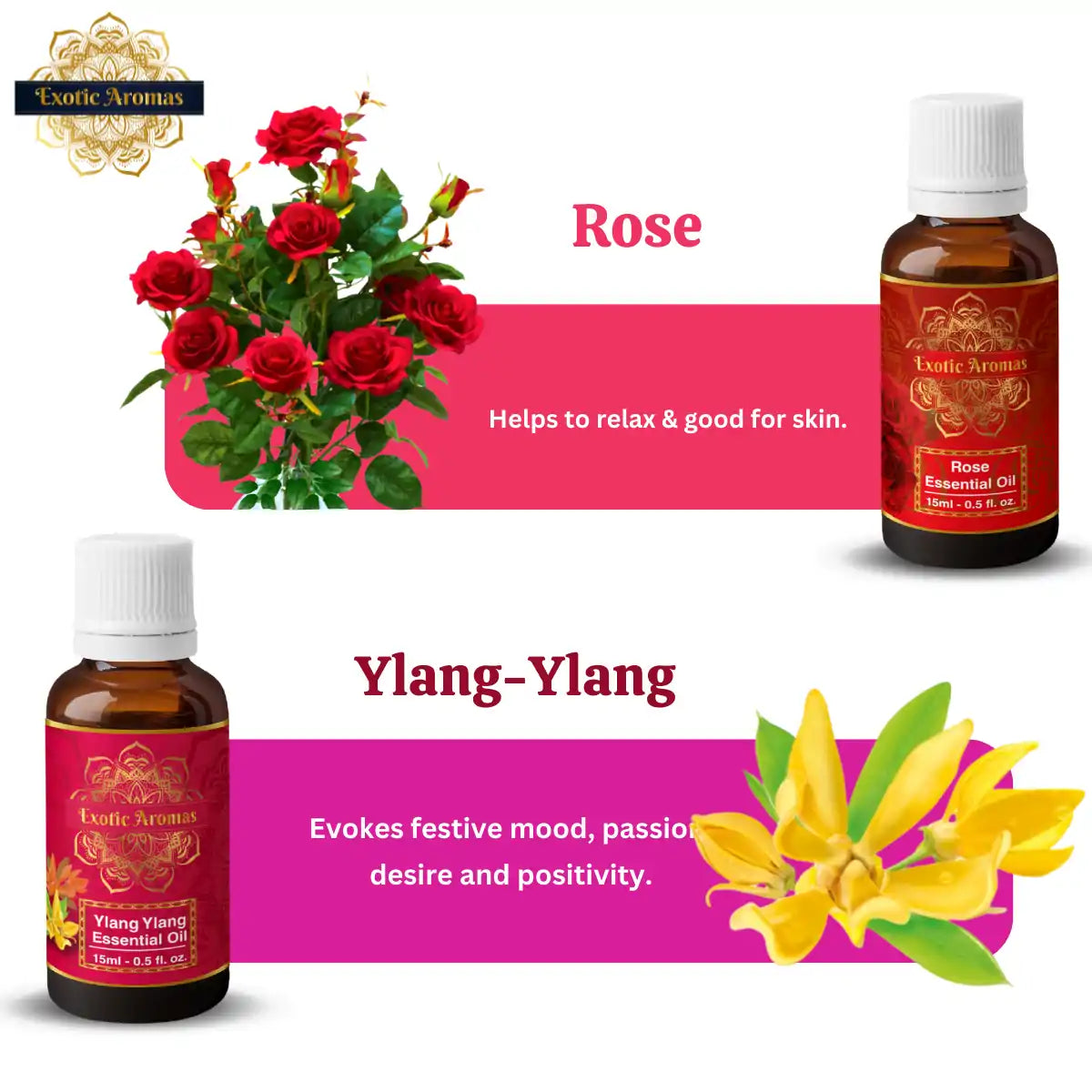 Essential Oil Pack of 5 - Lavender Oil, Sandalwood Oil, Jasmine Oil, Rose Oil, Ylang Yang Oil