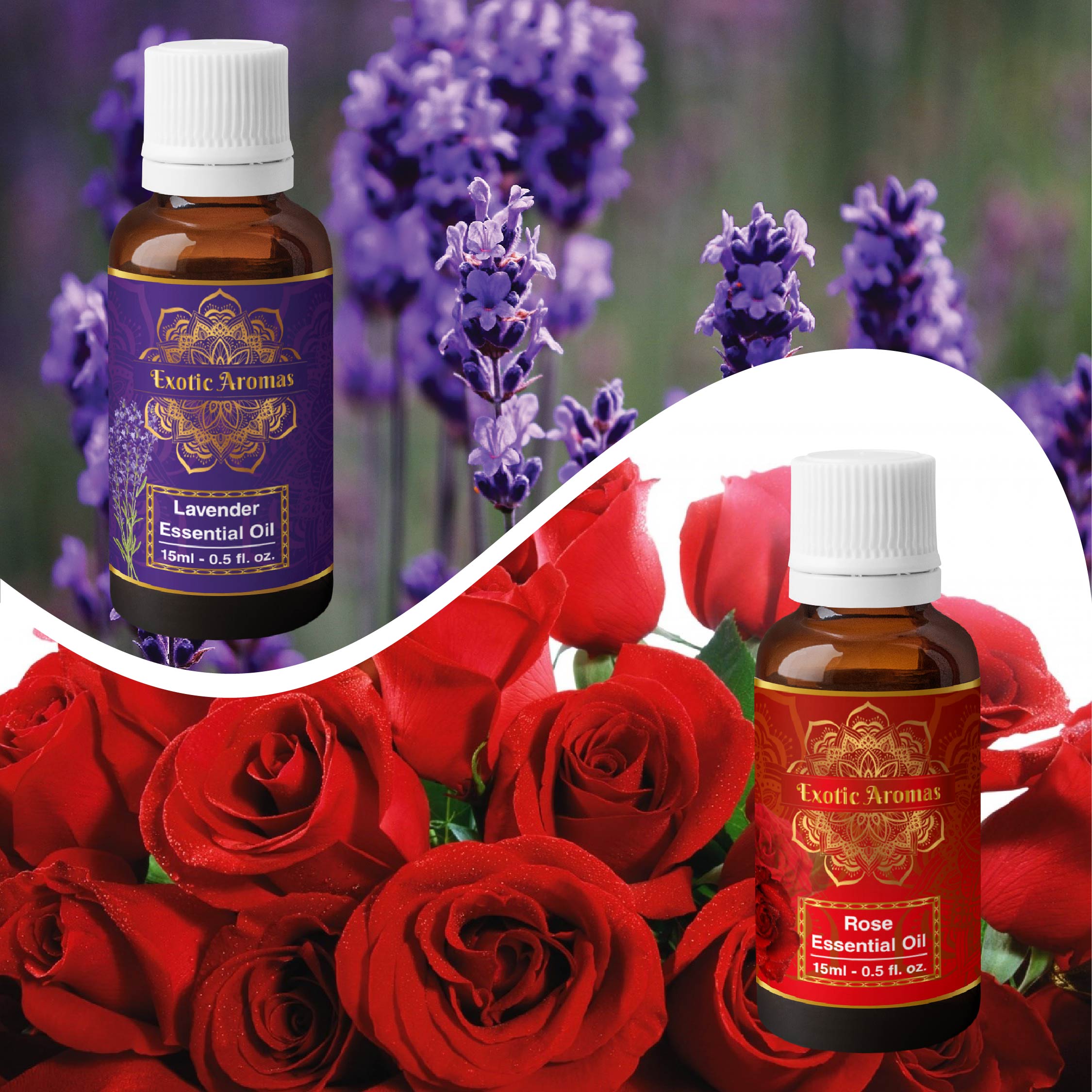 Lavender & Rose Oil Essential Oil, Pack of 2