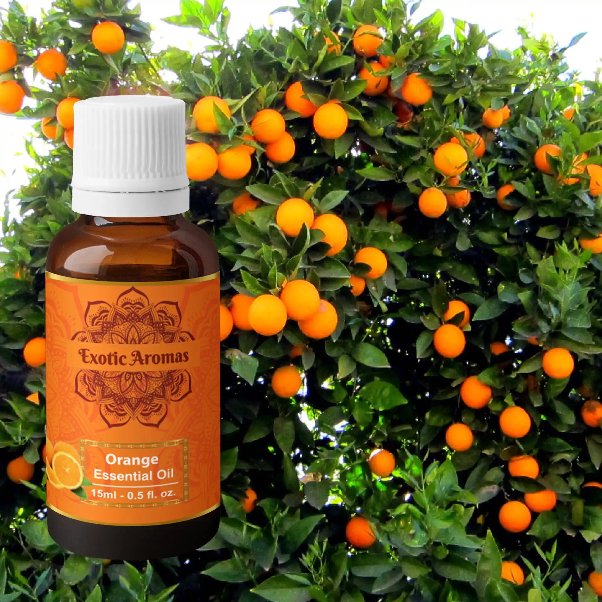 Orange Essential Oil for Aroma, Hair Growth & Radiant Skin (15Ml + 15Ml) Pack of 2
