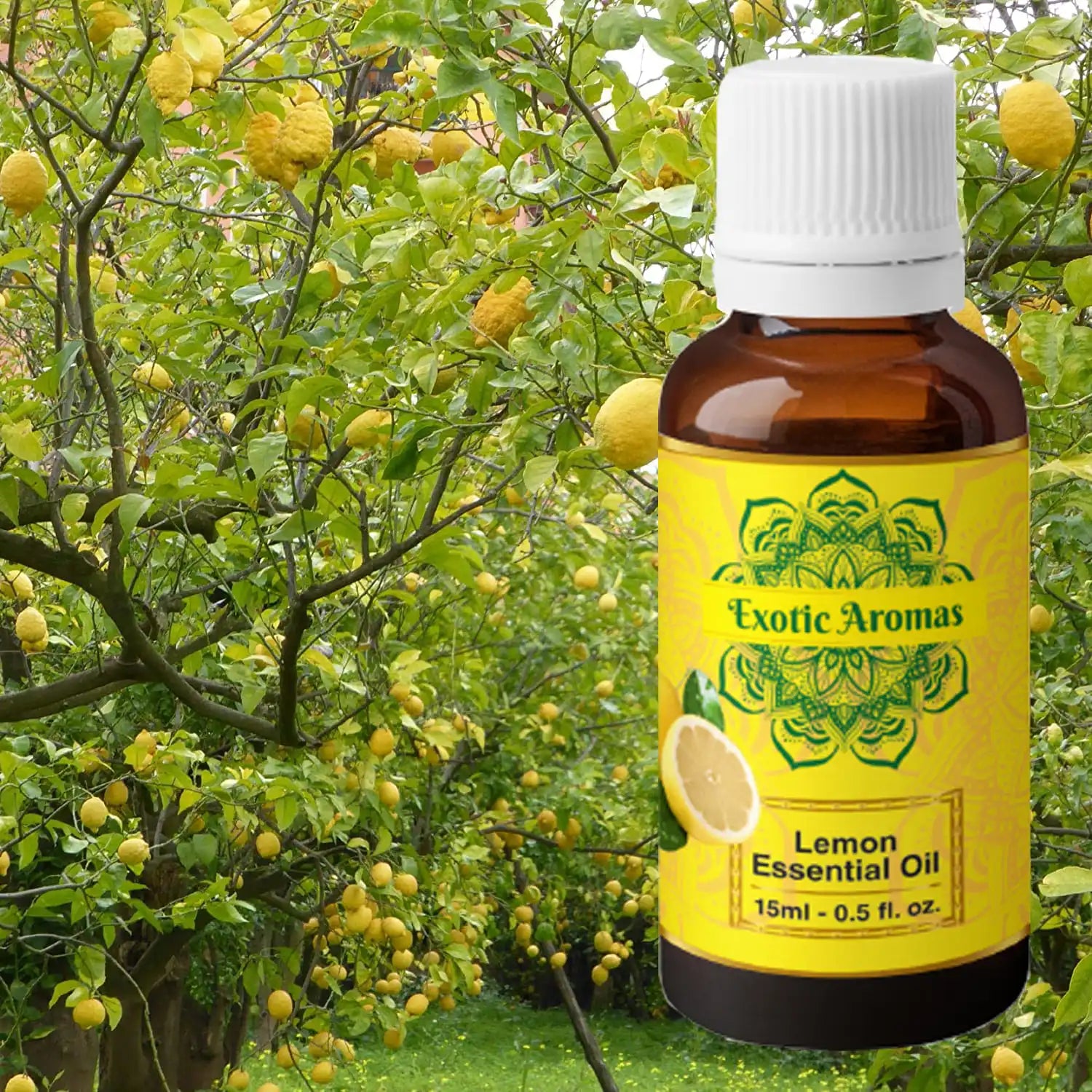 Lemon Essential Oil for Skin, Hair & Aroma Therapy (15Ml + 15Ml) Pack of 2