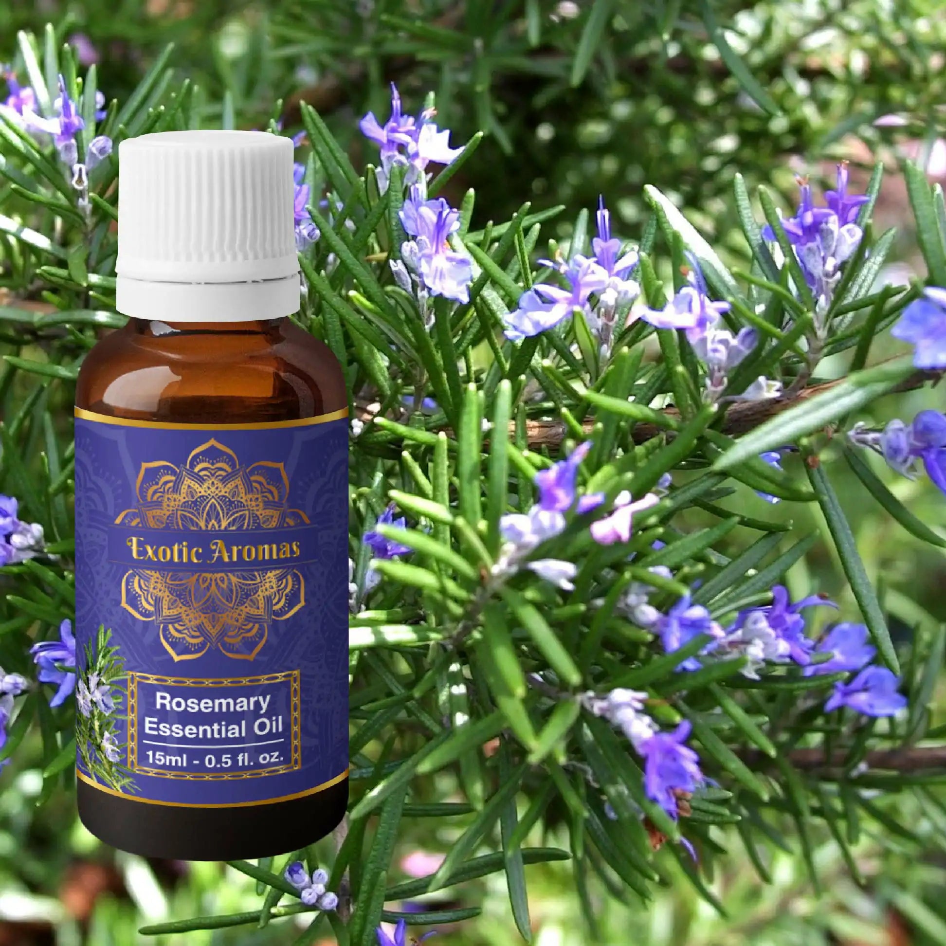 Rosemary Oil for Hair Growth, Skin, Aromatherapy (15 Ml+15 Ml) Pack of 2