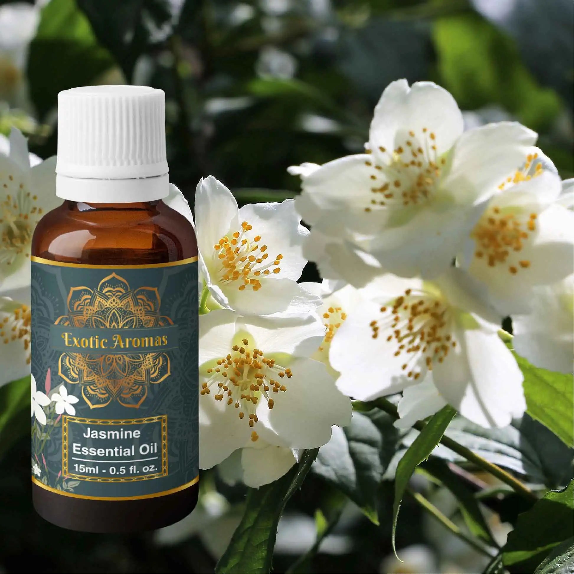 Jasmine Essential Oil (15Ml + 15Ml) Pack of 2