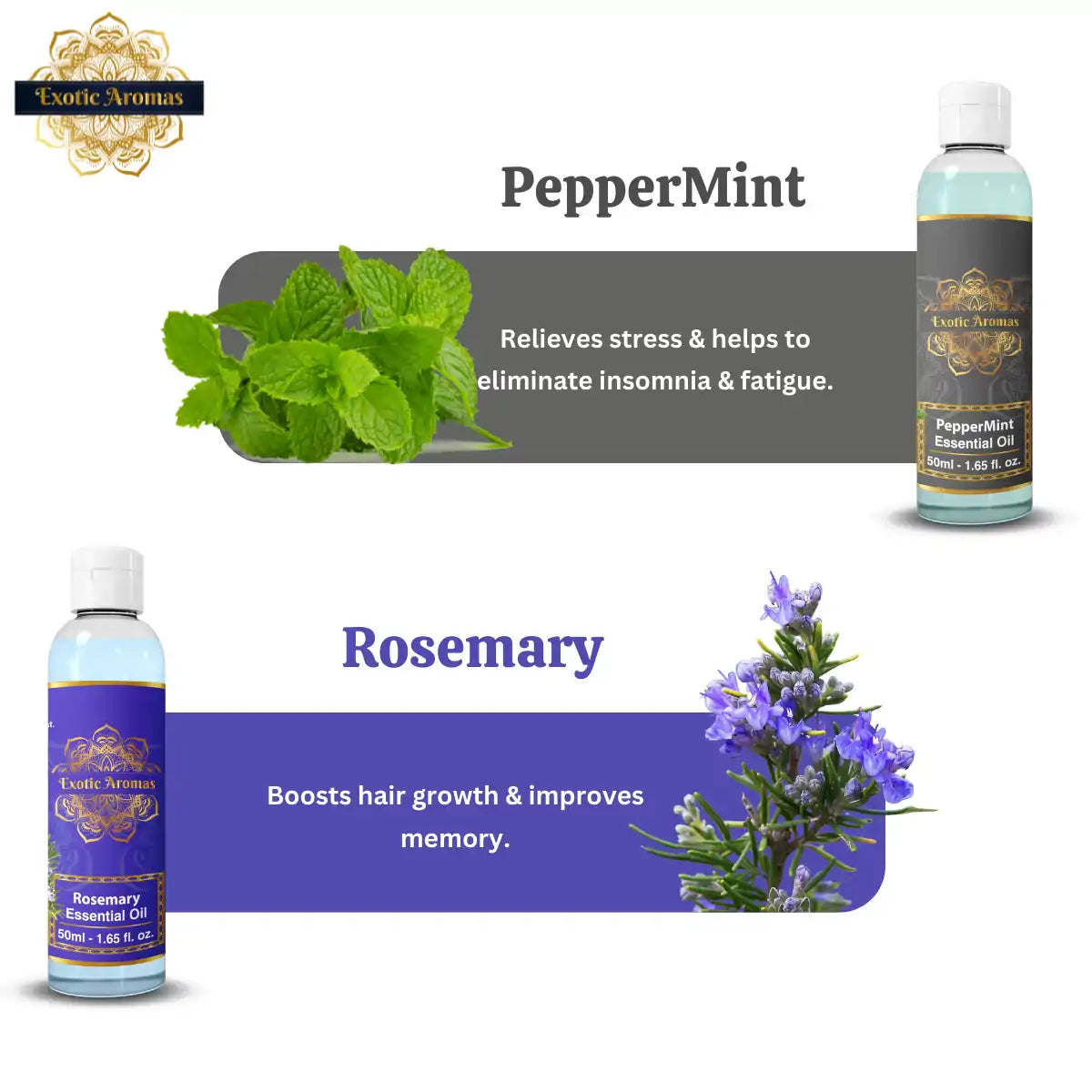 Essential Oil Pack of 10 - Lavender Rose Tea Tree Rosemary Jasmine Ylang Ylang Mandarin Lemongrass Peppermint lemon ,50 Ml Each