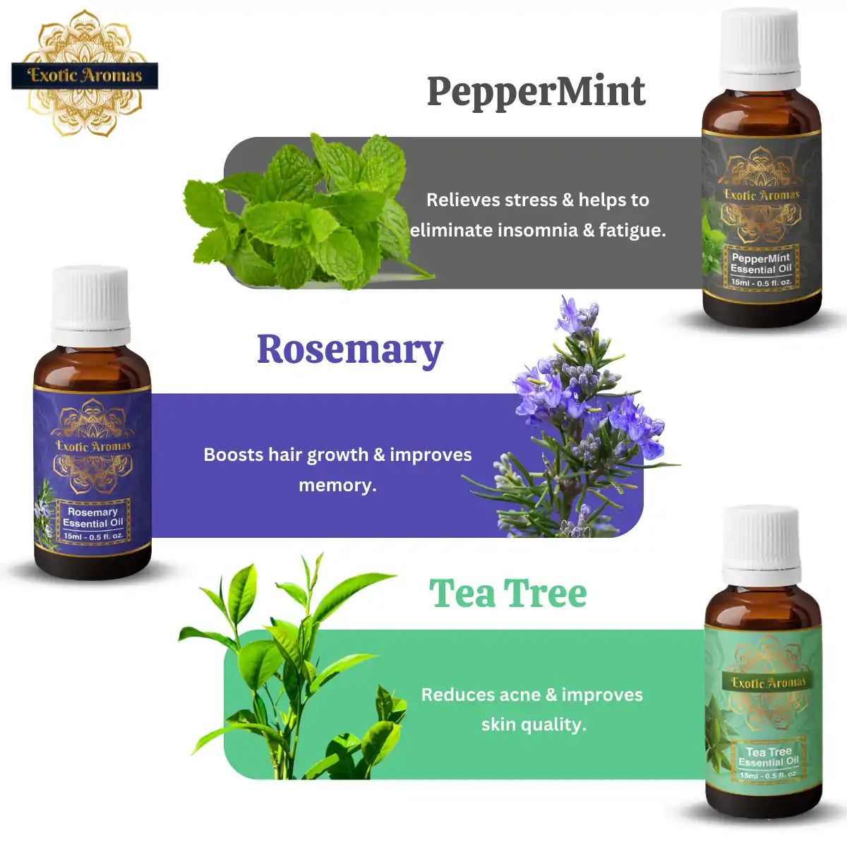 Essential Oil Pack of 9 Lavender, Rose, Tea Tree, Jasmine, Ylang Ylang, Orange, Lemongrass, Peppermint, Rosemary Pure & Natural, 10ML