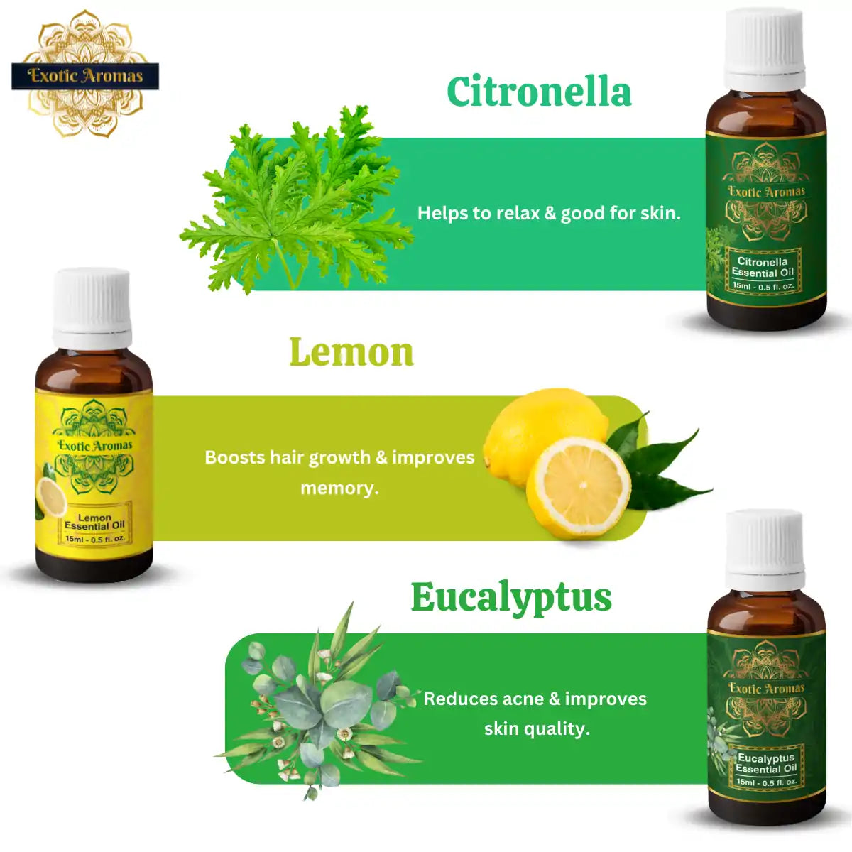 Essential Oil Pack of 12 Lavender Rose Tea Tree Rosemary Jasmine YlangYlang Eucalyptus Orange Lemongrass Peppermint lemon citronella