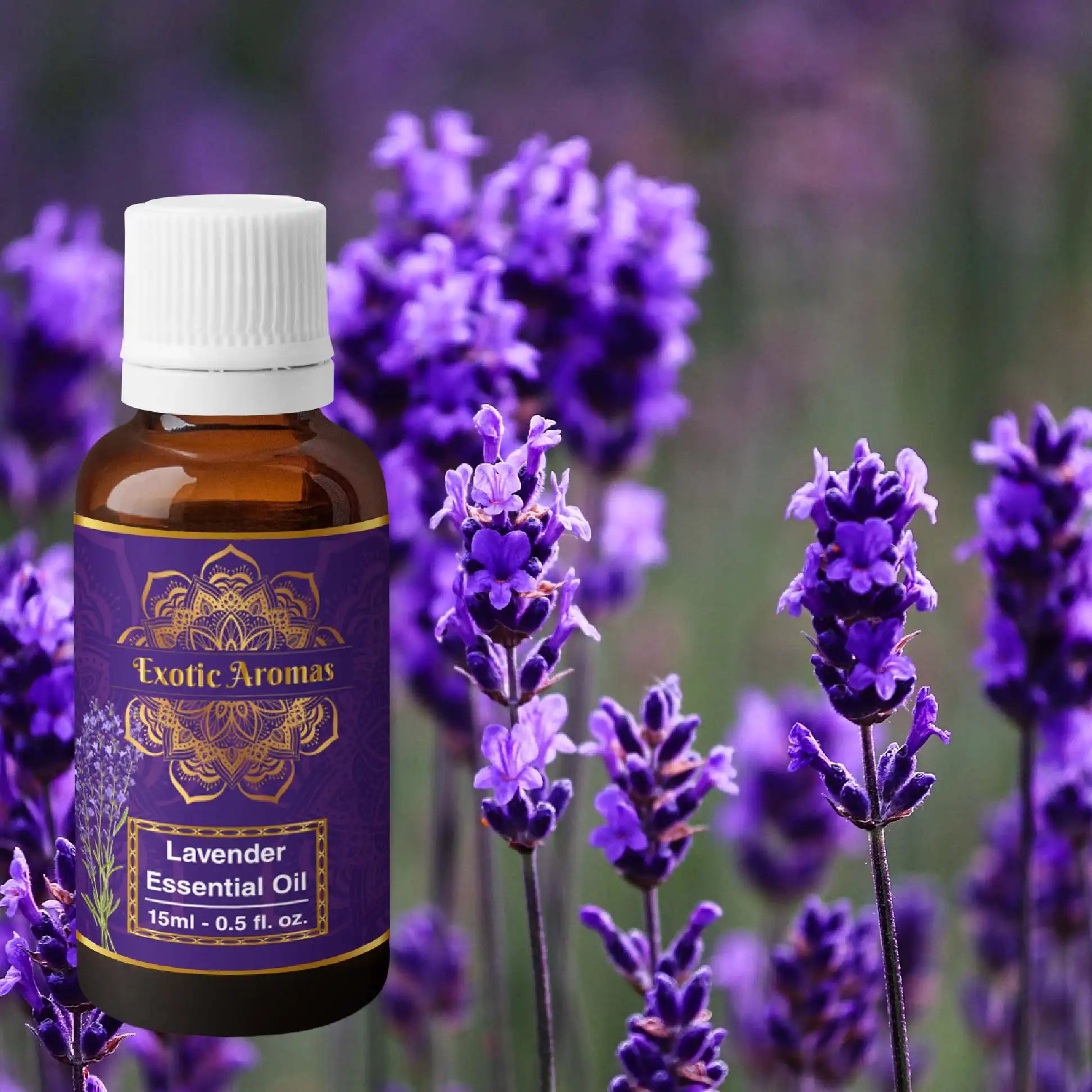 Lavender Essential Oil for Aroma Therapy, Stress Relief, Hair, Skin & Sleep (15Ml + 15Ml) Pack of 2