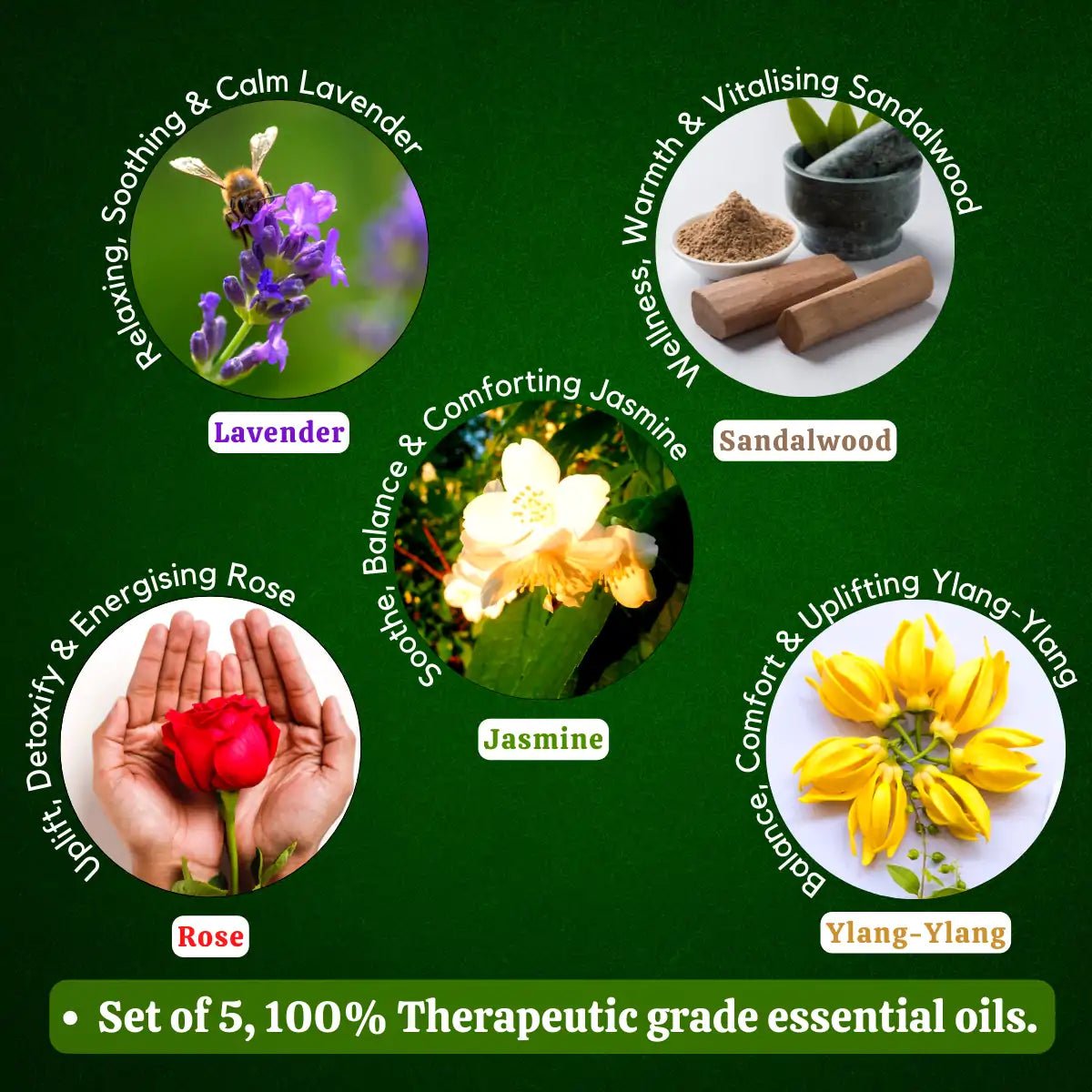 Essential Oil Pack of 5 - Lavender Oil, Sandalwood Oil, Jasmine Oil, Rose Oil, Ylang Yang Oil