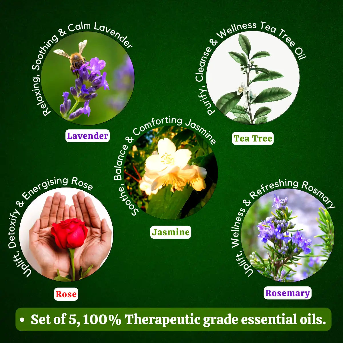 Essential Oils Pack of 5 - Lavender oil, Tea Tree Oil, Rose Oil, Jasmine Oil, Rosemary Oil