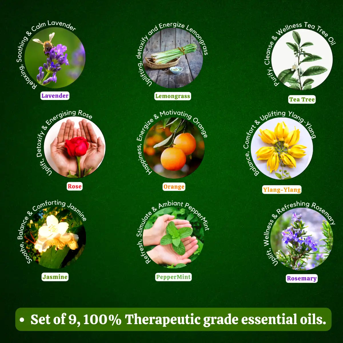 Essential Oil Pack of 9 Lavender, Rose, Tea Tree, Jasmine, Ylang Ylang, Orange, Lemongrass, Peppermint, Rosemary Pure & Natural, 10ML