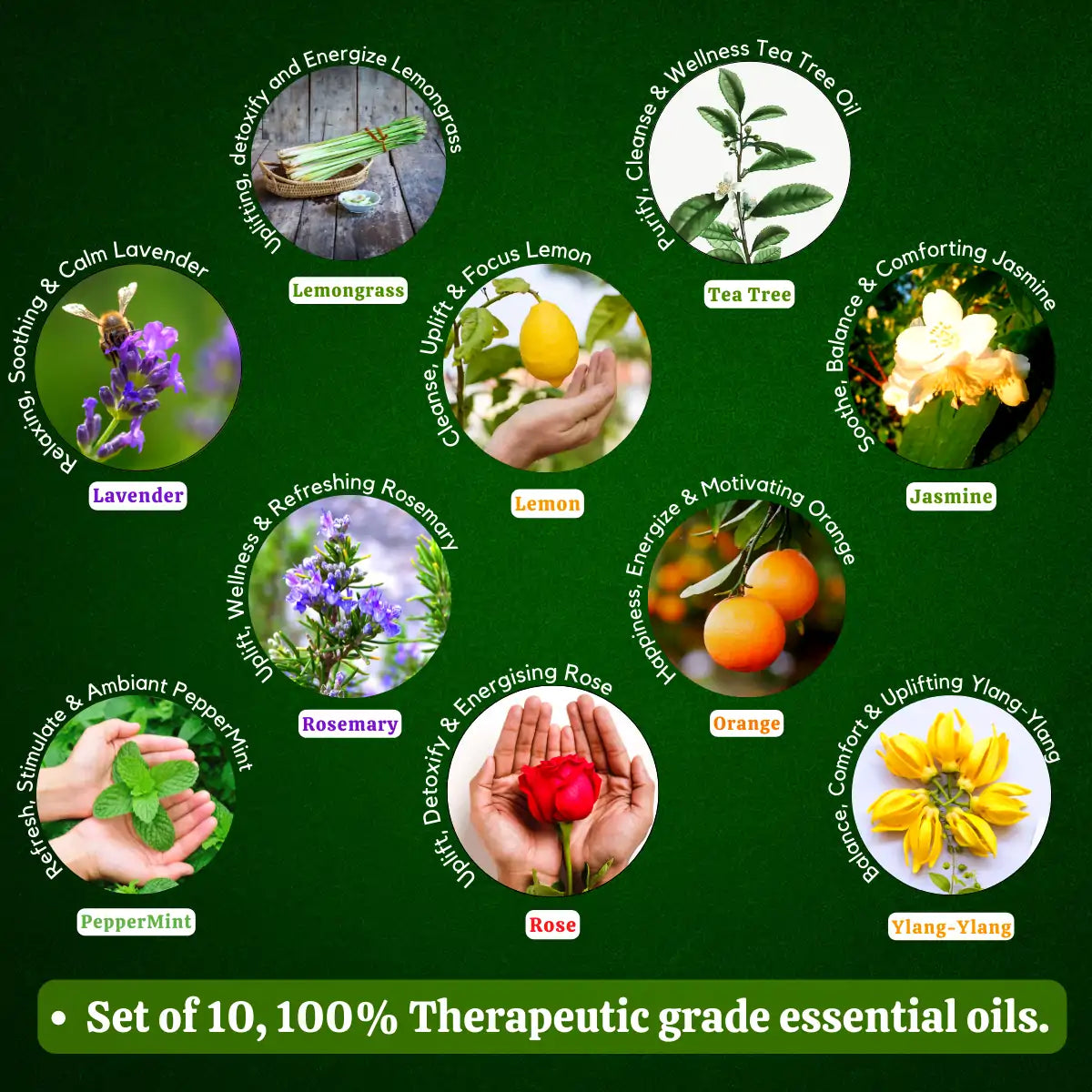 Essential Oil Pack of 10 - Lavender Rose Tea Tree Rosemary Jasmine Ylang Ylang Mandarin Lemongrass Peppermint lemon ,50 Ml Each