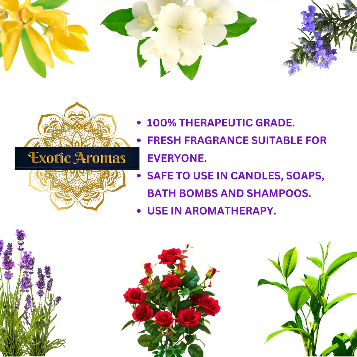 Essential Oil Pack of 9 Lavender, Rose, Tea Tree, Jasmine, Ylang Ylang, Orange, Lemongrass, Peppermint, Rosemary Pure & Natural, 10ML