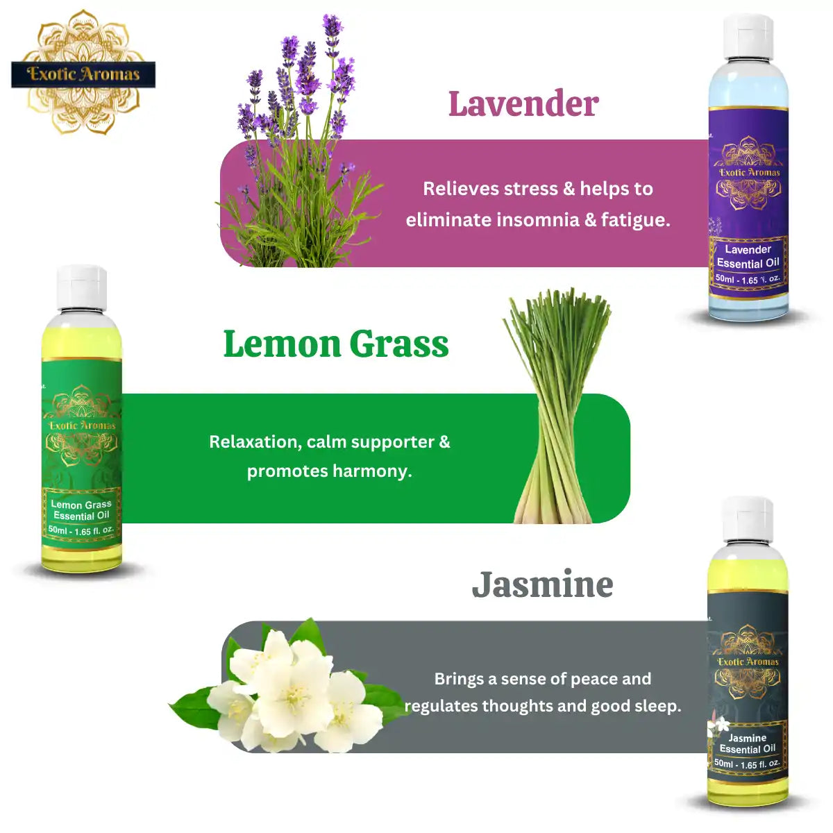 Essential Oil Pack of 10 - Lavender Rose Tea Tree Rosemary Jasmine Ylang Ylang Mandarin Lemongrass Peppermint lemon ,50 Ml Each