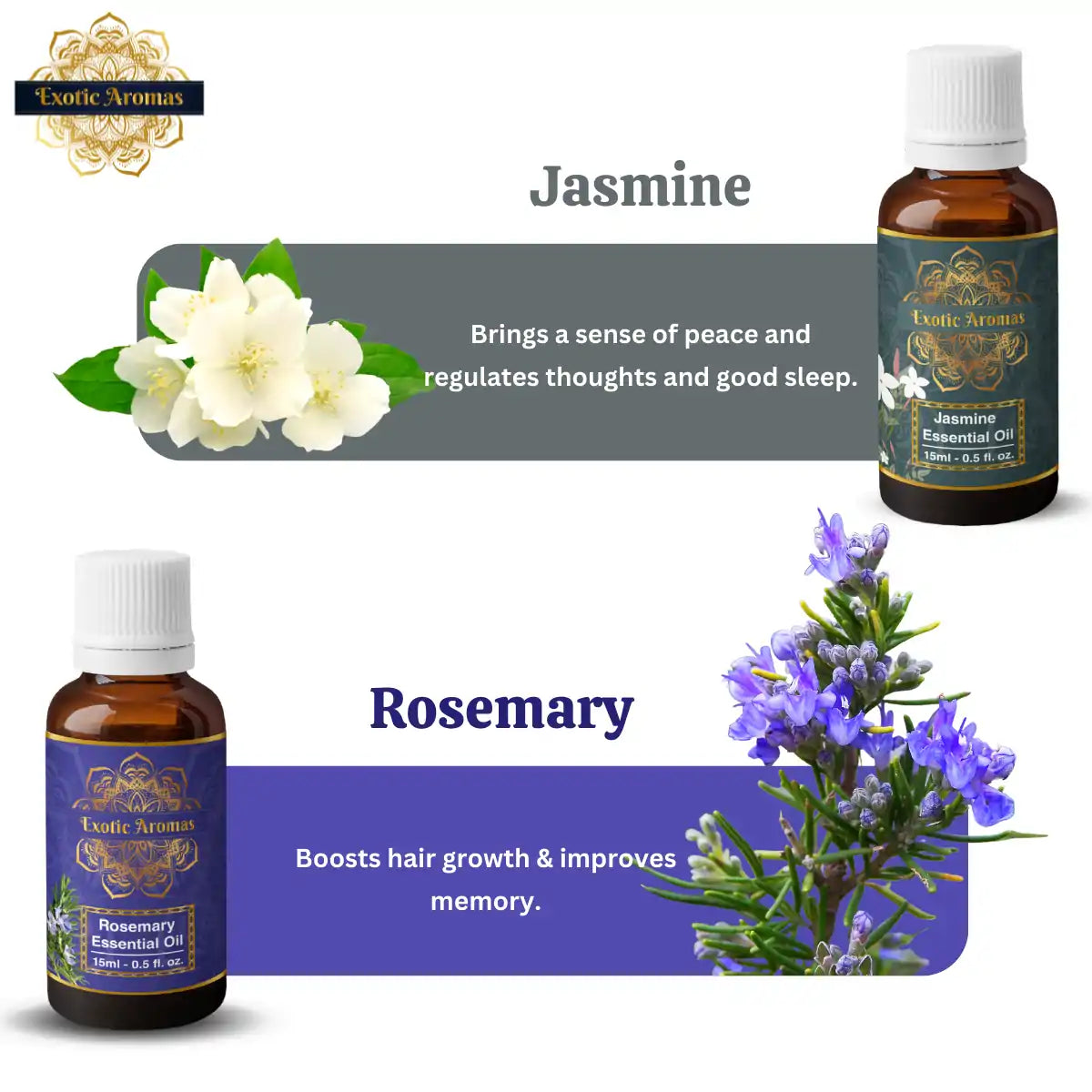 Essential Oils Pack of 5 - Lavender oil, Tea Tree Oil, Rose Oil, Jasmine Oil, Rosemary Oil